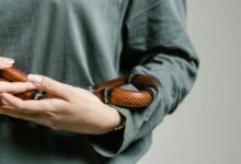 enterprise voicemail management system