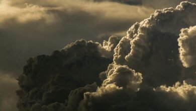 hyderabad weather updates forecast
